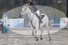 ref. photo 3141802