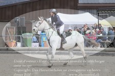 ref. photo 3141808