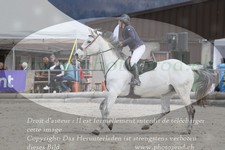 ref. photo 3141809