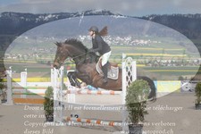 ref. photo 3141814