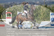 ref. photo 3141816