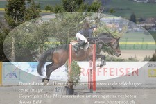 ref. photo 3141827