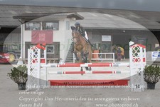 ref. photo 3141834