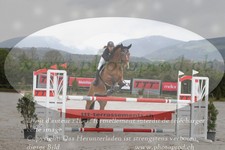 ref. photo 3141843