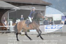 ref. photo 3141854