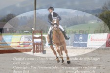 ref. photo 3141860