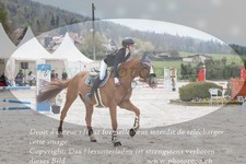 ref. photo 3141862
