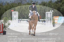 ref. photo 3141863