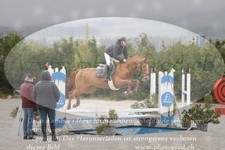 ref. photo 3141875