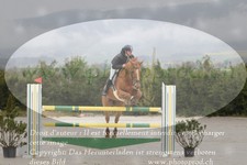 ref. photo 3141878