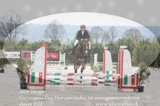 ref. photo 3141880