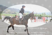 ref. photo 3141883