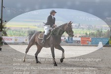 ref. photo 3141886