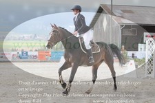 ref. photo 3141888