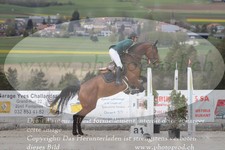 ref. photo 3141889