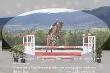 ref. photo 3141891