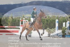 ref. photo 3141892