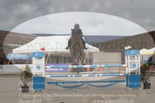 ref. photo 3141893