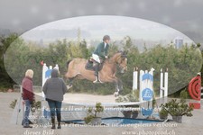 ref. photo 3141904
