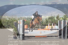 ref. photo 3141911