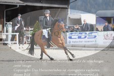 ref. photo 3141916