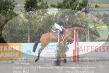 ref. photo 3141918