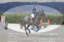 ref. photo 3141932