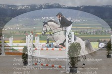 ref. photo 3141939