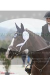 ref. photo 3141994