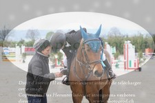ref. photo 3142012