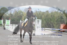 ref. photo 3142026