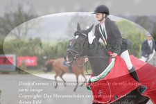 ref. photo 3142166