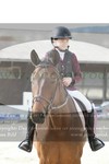 ref. photo 3142189