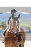 ref. photo 3142249