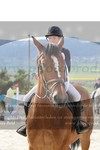 ref. photo 3142252