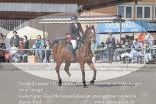 ref. photo 3142286