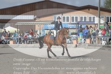 ref. photo 3142293