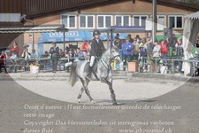 ref. photo 3142294