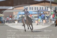 ref. photo 3142296