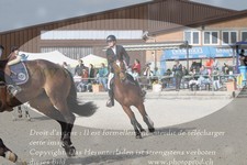 ref. photo 3142297