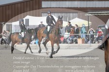 ref. photo 3142300