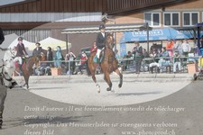 ref. photo 3142303