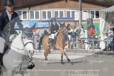 ref. photo 3142309