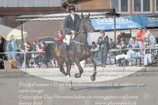 ref. photo 3142313