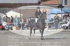 ref. photo 3142314