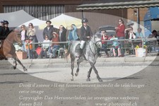 ref. photo 3142315