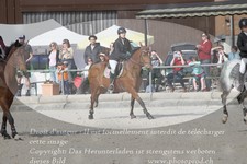 ref. photo 3142316