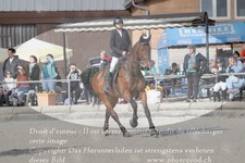 ref. photo 3142319