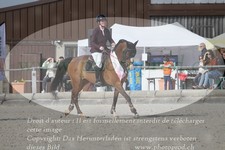 ref. photo 3142324