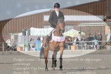ref. photo 3142327